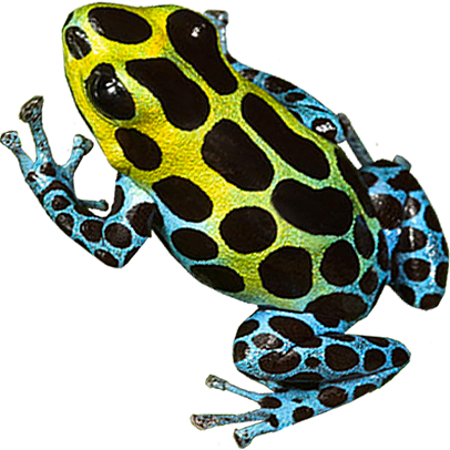 Zimmerman's Dart